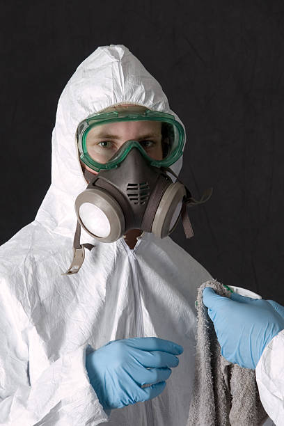 Best Dehumidification Services  in Collingdale, PA